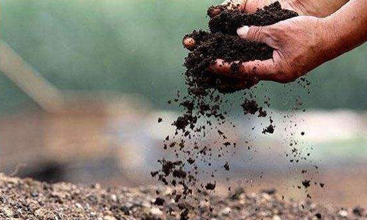 肥行業(yè)一卡通稱重管理系統